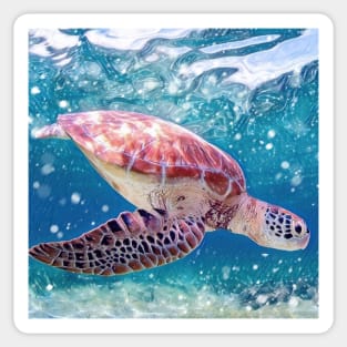 turtle Sticker